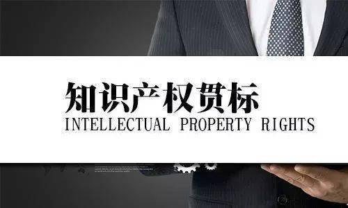 體系質量管理體系_質量管理體系有哪些_質量體系管理包括
